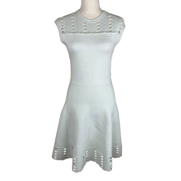 Ted Baker Mint Green Zaralie Jacquard Panel Skater Dress Size 8 - Picture 1 of 9